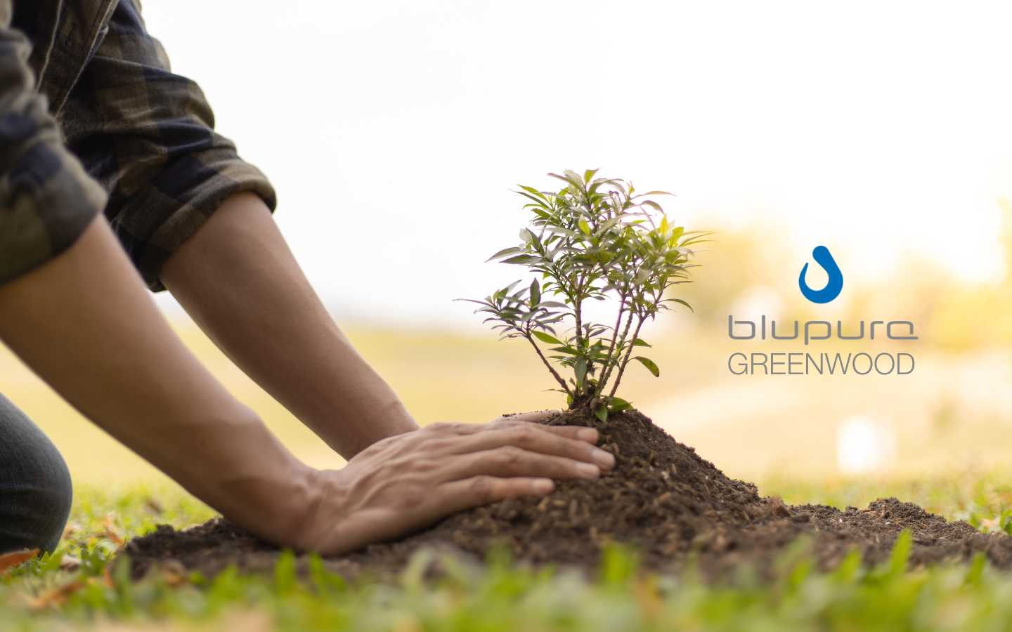 New partnership with Treedom for the creation of the Blupura Greenwood