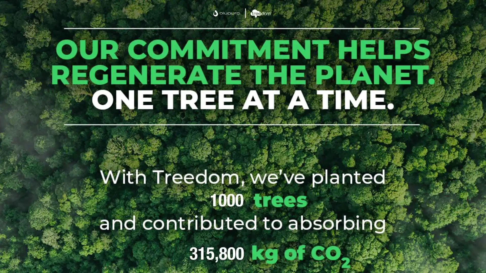 World Environment Day 2025: Blupura Leading the Charge Against Plastic Pollution