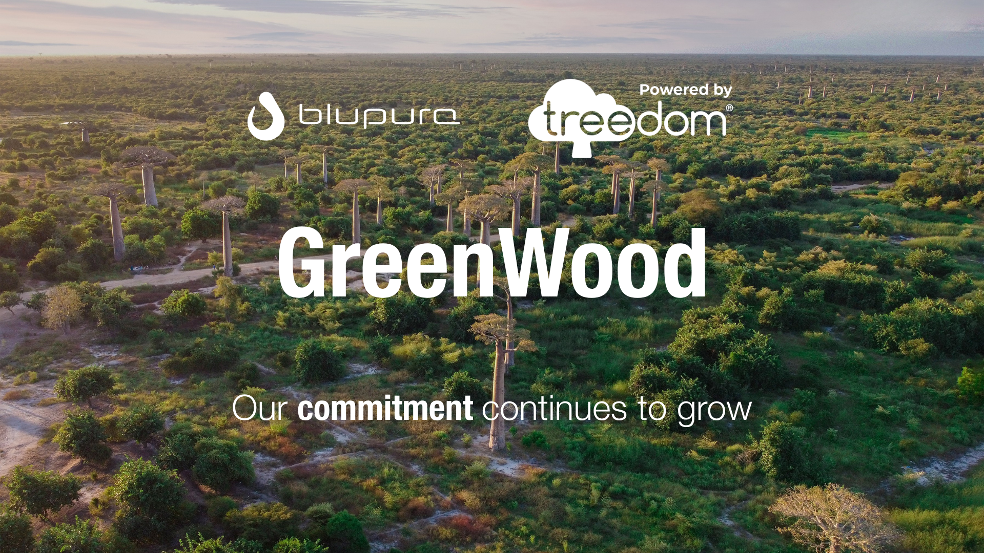 Blupura and Treedom: our forest reaches 2,000 trees