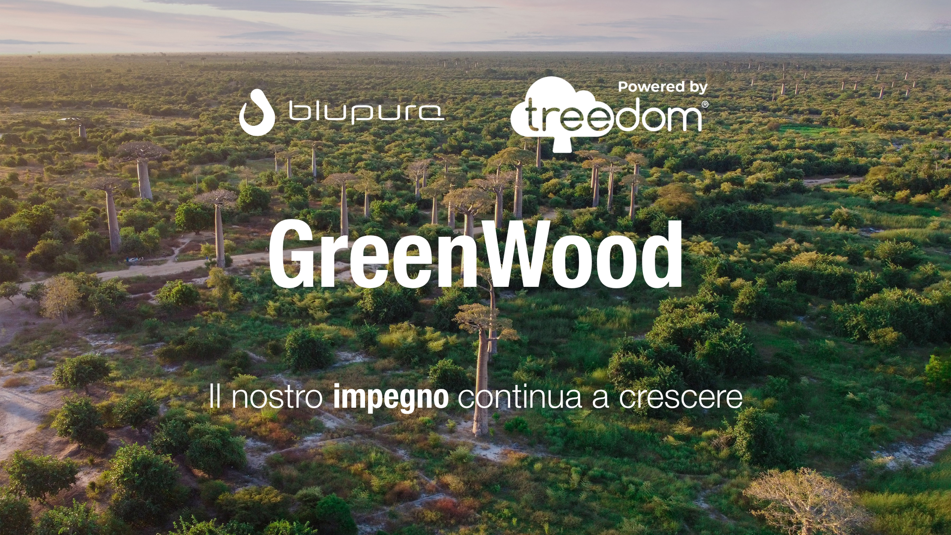 Blupura e Treedom: la nostra foresta raggiunge i 2.000 alberi